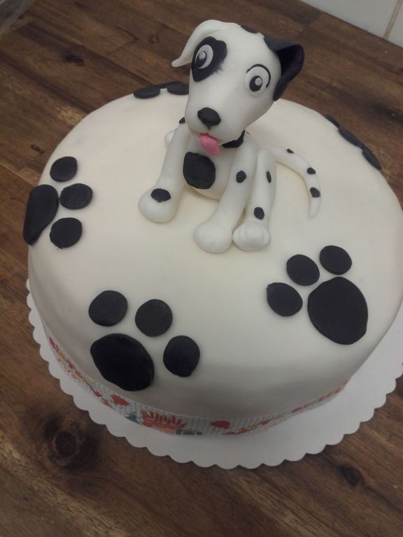 dalmatín dort
